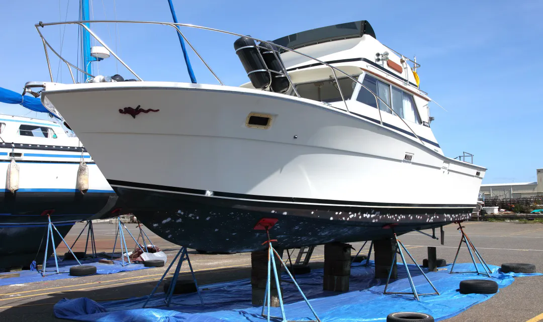 常州涂料網 常州涂料網